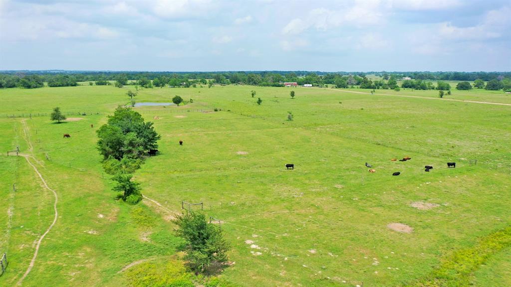 18.0723 Acres Dutton Lane, Madisonville, Texas image 12