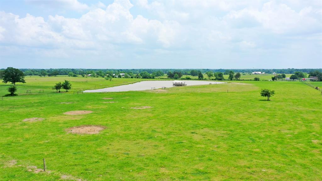 18.0723 Acres Dutton Lane, Madisonville, Texas image 4