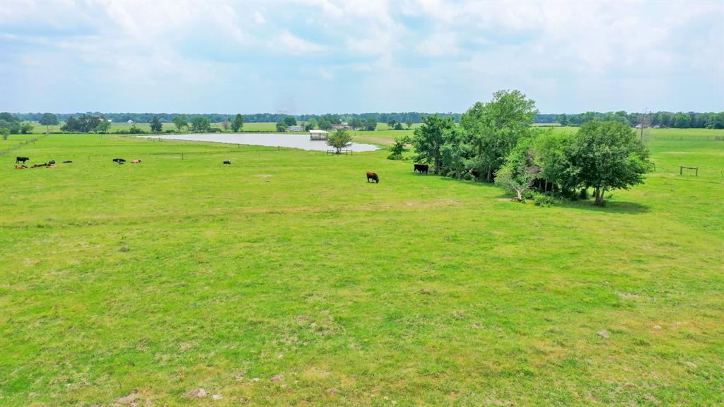 18.0723 Acres Dutton Lane, Madisonville, Texas image 10