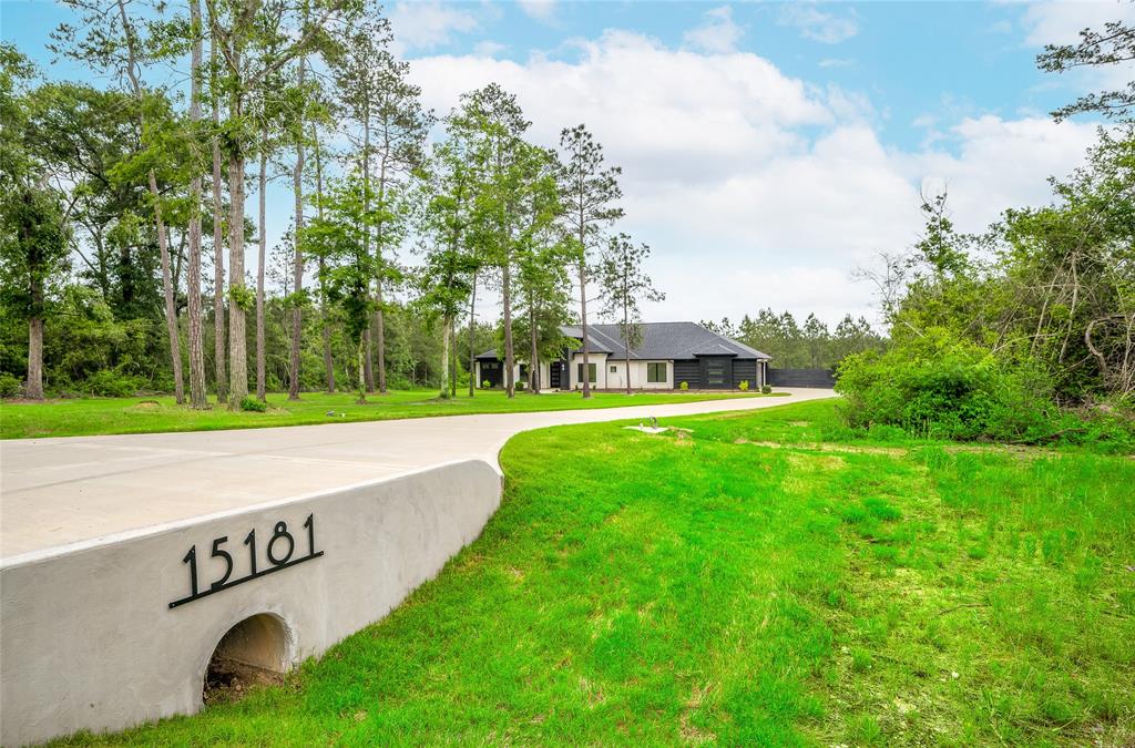 15181 Forest Grove Drive, Willis, Texas image 46