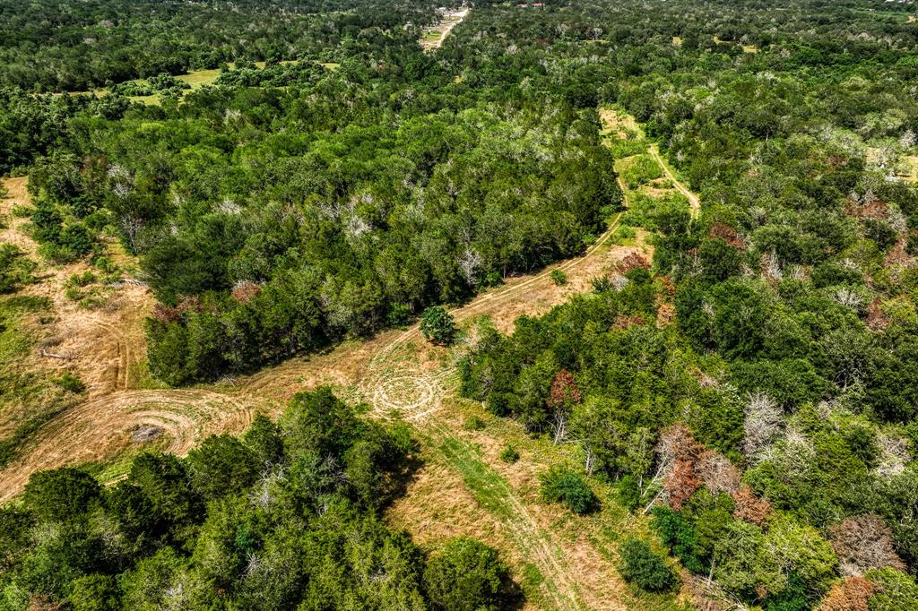 TBD (88.852 Acres) Smith Road, Bastrop, Texas image 36