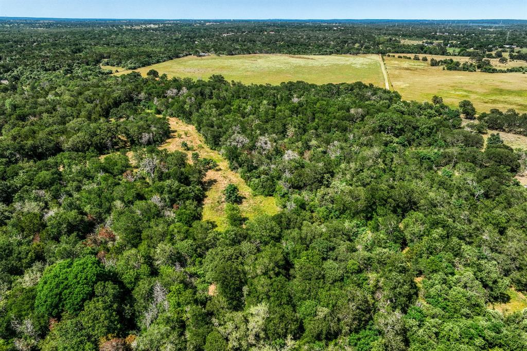 TBD (88.852 Acres) Smith Road, Bastrop, Texas image 33