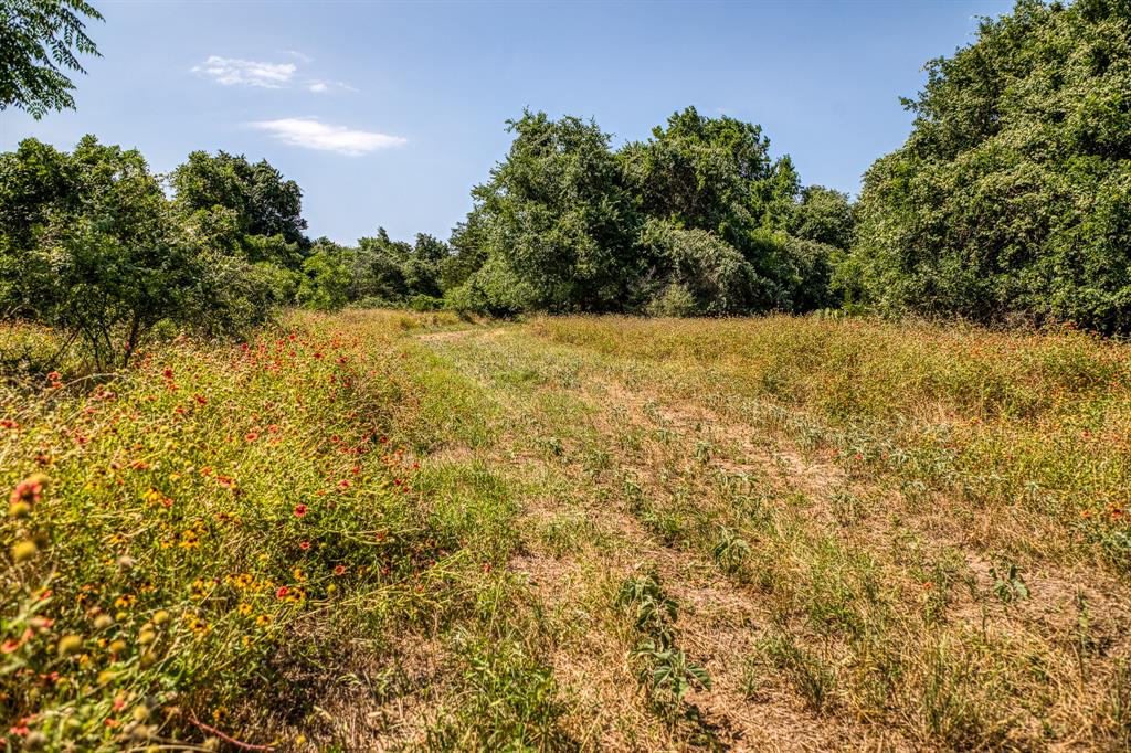 TBD (88.852 Acres) Smith Road, Bastrop, Texas image 18