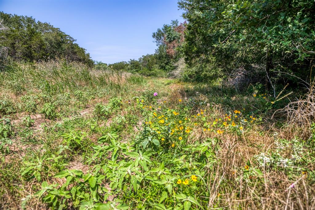 TBD (88.852 Acres) Smith Road, Bastrop, Texas image 11