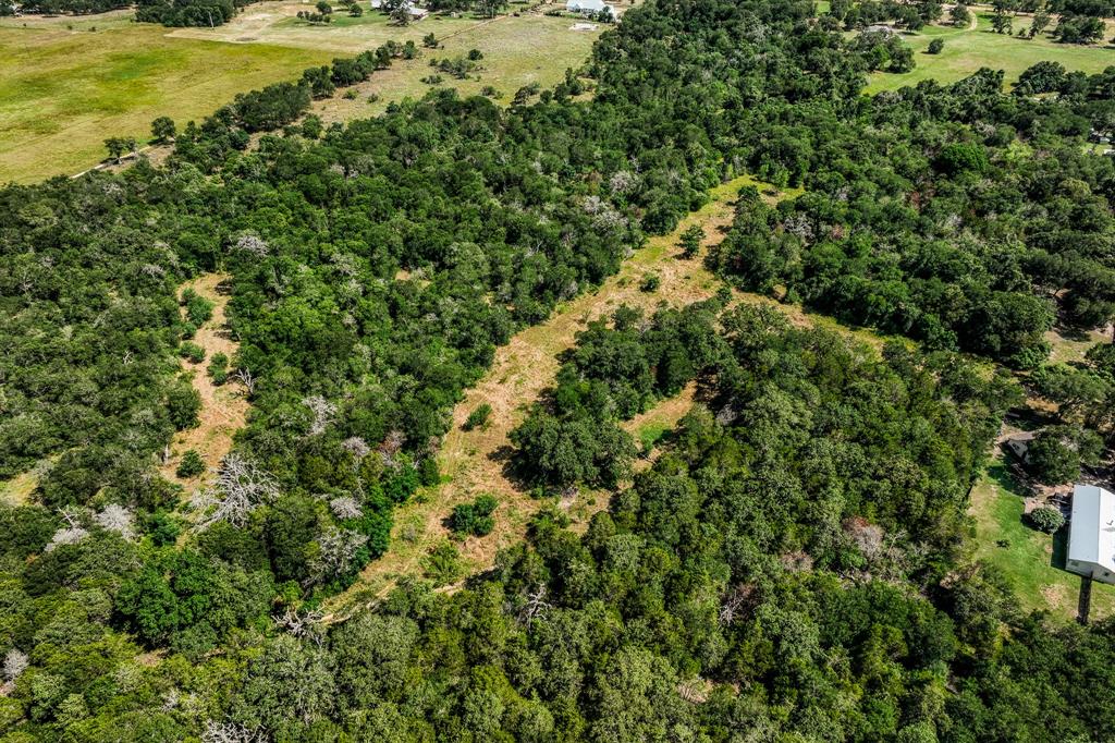 TBD (88.852 Acres) Smith Road, Bastrop, Texas image 30