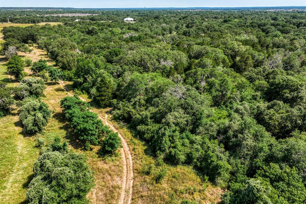 TBD (88.852 Acres) Smith Road, Bastrop, Texas image 27