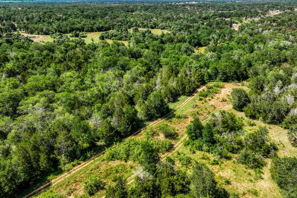 TBD (88.852 Acres) Smith Road, Bastrop, Texas image 38