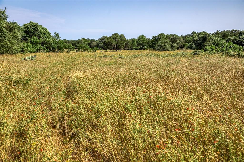 TBD (88.852 Acres) Smith Road, Bastrop, Texas image 19