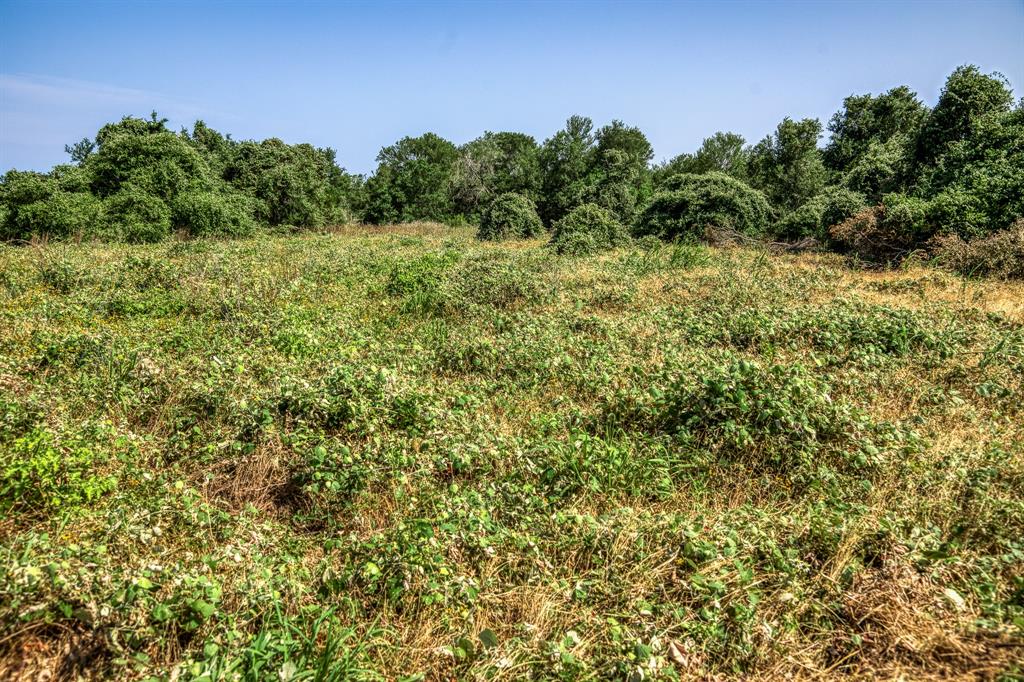 TBD (88.852 Acres) Smith Road, Bastrop, Texas image 24