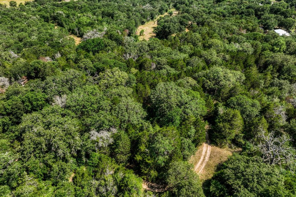 TBD (88.852 Acres) Smith Road, Bastrop, Texas image 28