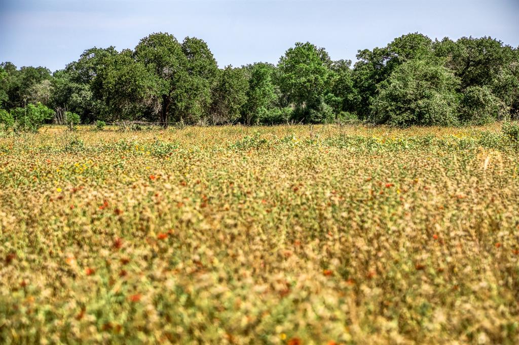 TBD (88.852 Acres) Smith Road, Bastrop, Texas image 20