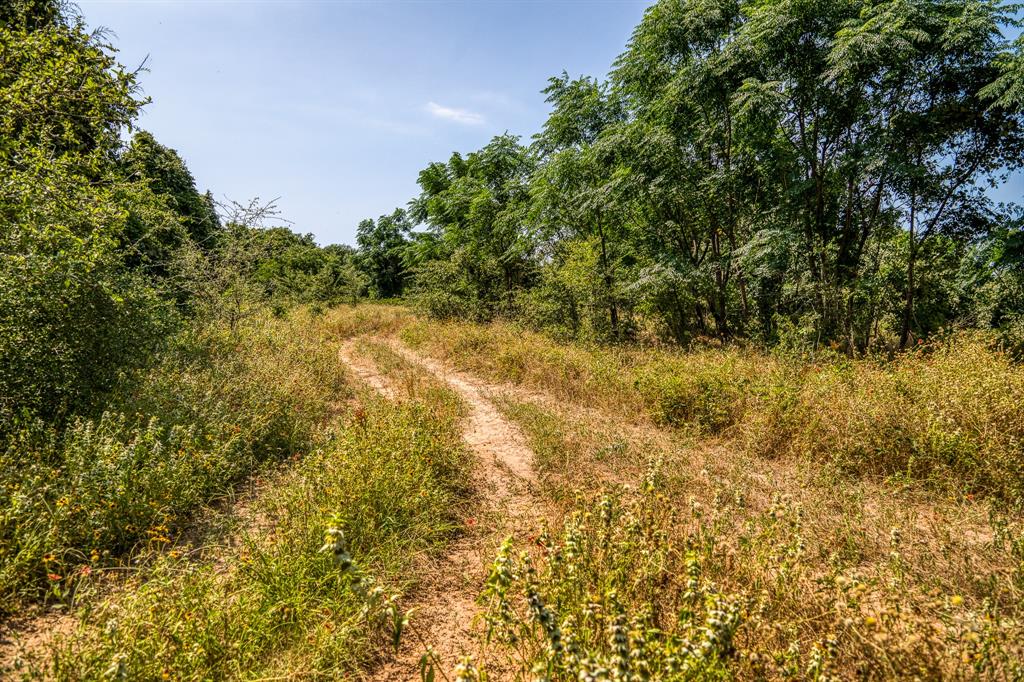 TBD (88.852 Acres) Smith Road, Bastrop, Texas image 16