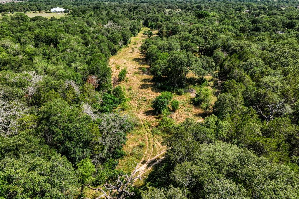 TBD (88.852 Acres) Smith Road, Bastrop, Texas image 29