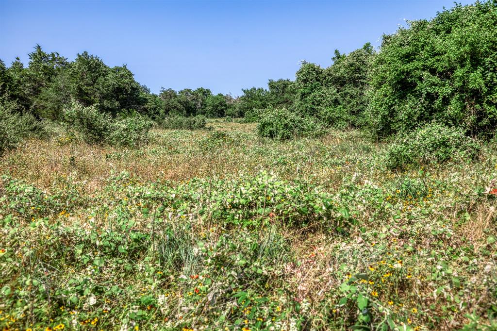 TBD (88.852 Acres) Smith Road, Bastrop, Texas image 23