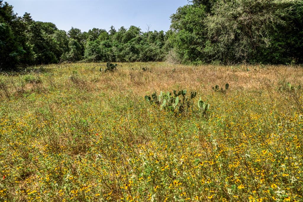 TBD (88.852 Acres) Smith Road, Bastrop, Texas image 22