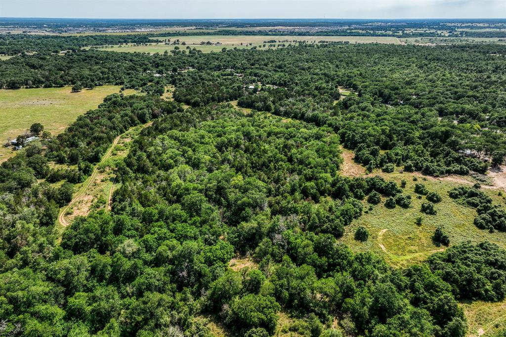 TBD (88.852 Acres) Smith Road, Bastrop, Texas image 41