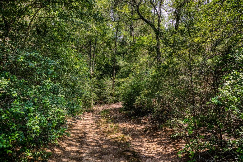 TBD (88.852 Acres) Smith Road, Bastrop, Texas image 15