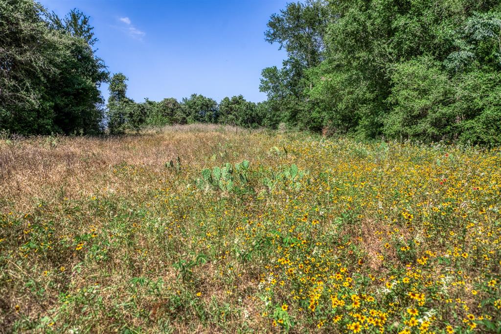 TBD (88.852 Acres) Smith Road, Bastrop, Texas image 21