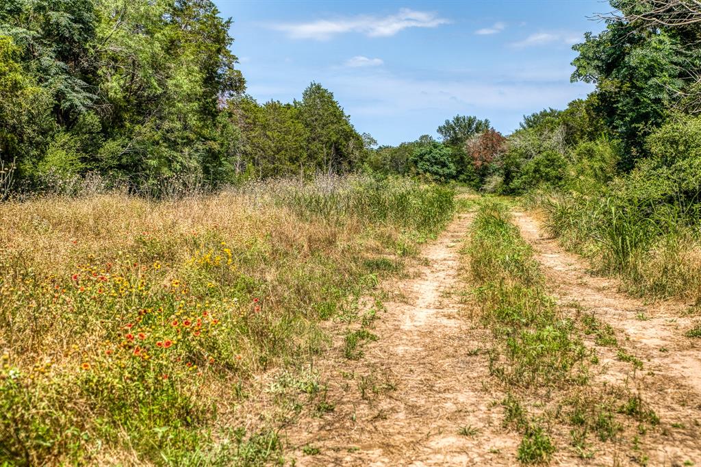 TBD (88.852 Acres) Smith Road, Bastrop, Texas image 9