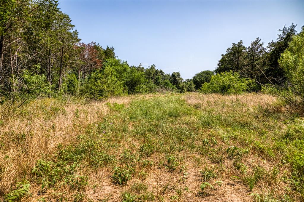 TBD (88.852 Acres) Smith Road, Bastrop, Texas image 10