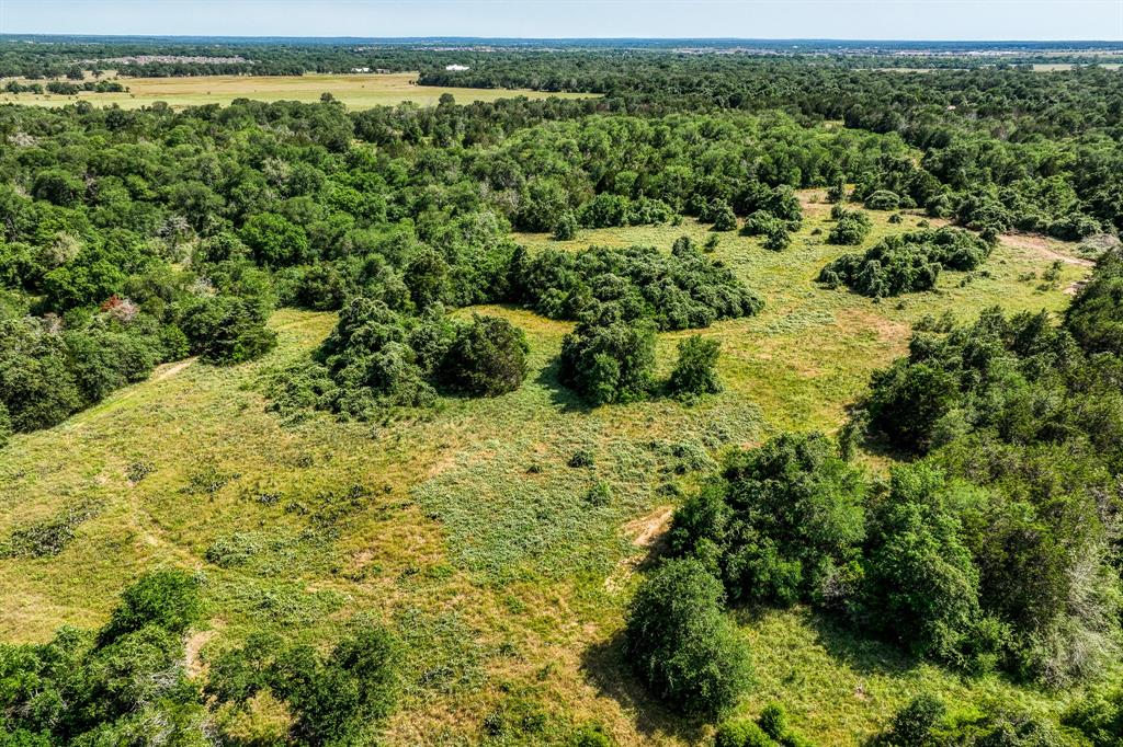 TBD (88.852 Acres) Smith Road, Bastrop, Texas image 45