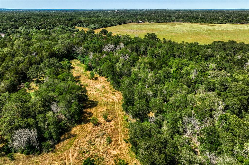 TBD (88.852 Acres) Smith Road, Bastrop, Texas image 34