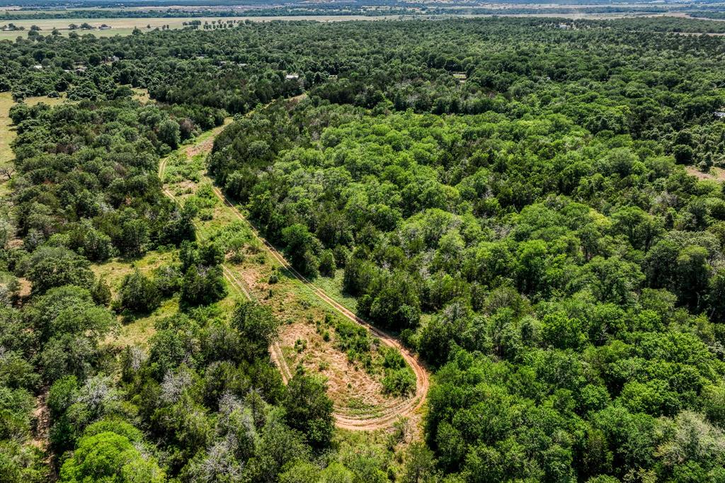 TBD (88.852 Acres) Smith Road, Bastrop, Texas image 40