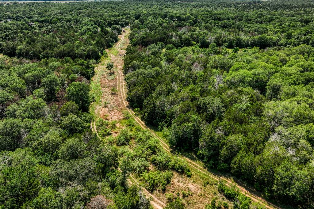 TBD (88.852 Acres) Smith Road, Bastrop, Texas image 39