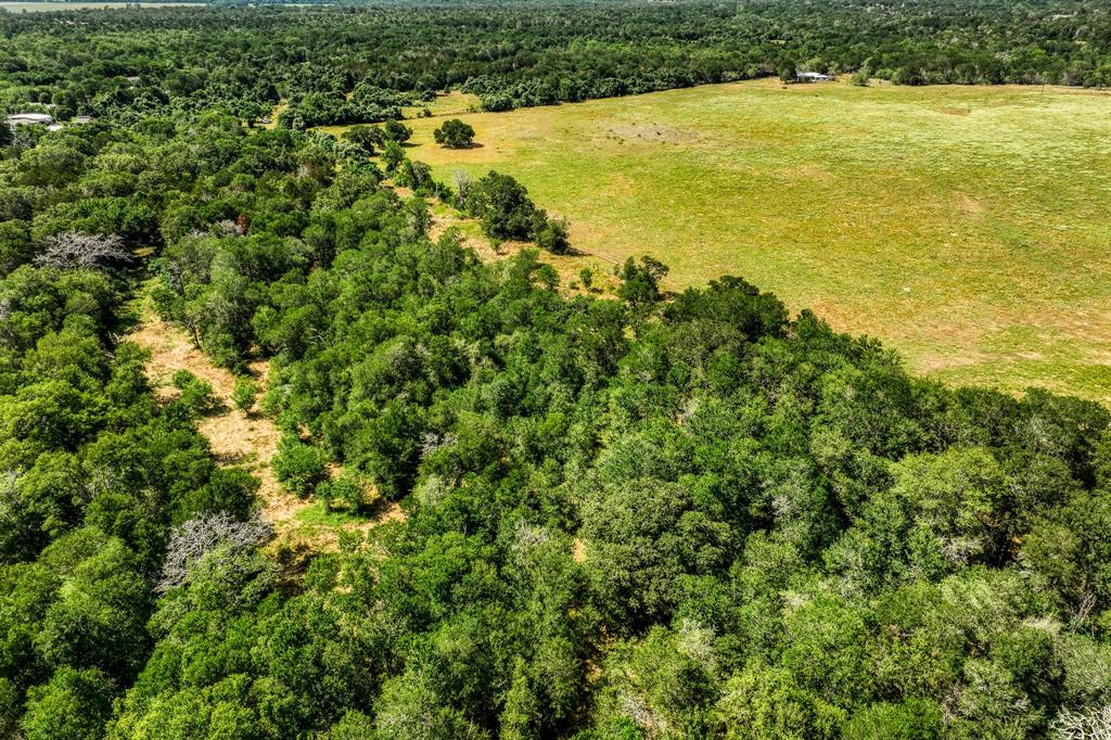 TBD (88.852 Acres) Smith Road, Bastrop, Texas image 35