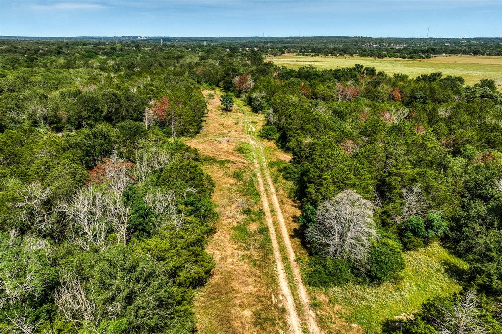 TBD (88.852 Acres) Smith Road, Bastrop, Texas image 47