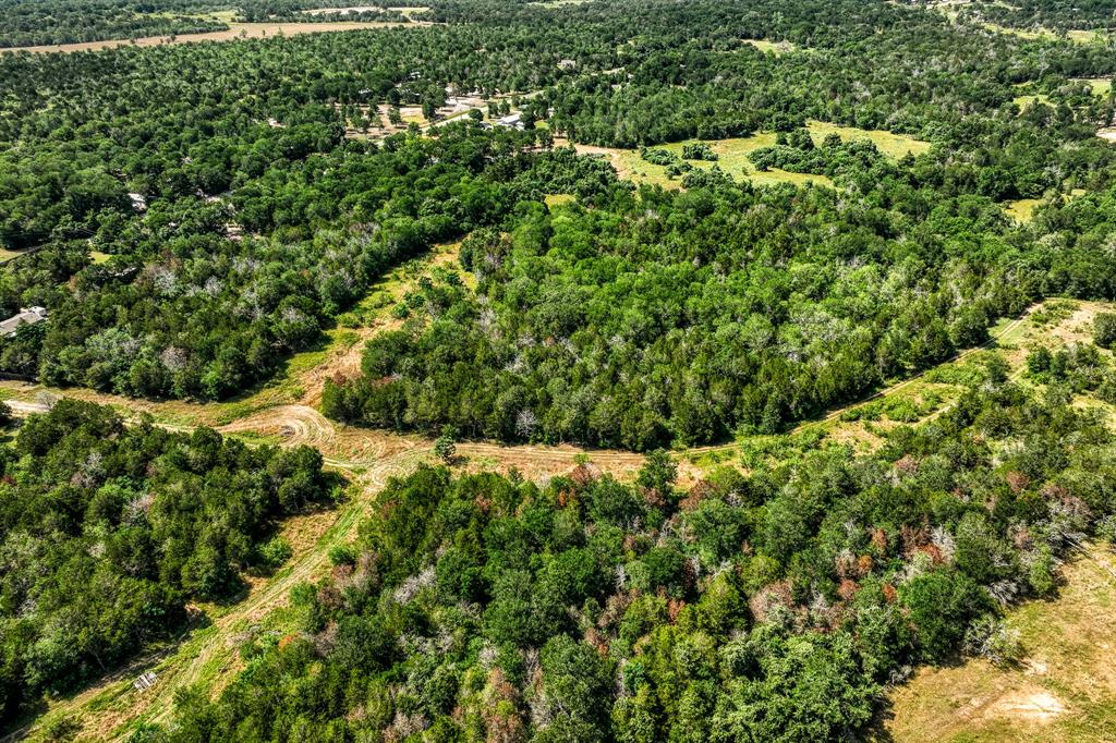 TBD (88.852 Acres) Smith Road, Bastrop, Texas image 49