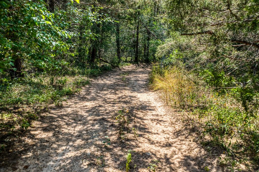 TBD (88.852 Acres) Smith Road, Bastrop, Texas image 13