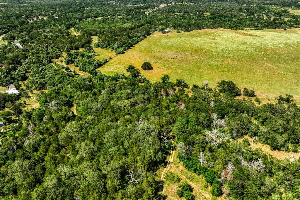 TBD (88.852 Acres) Smith Road, Bastrop, Texas image 31