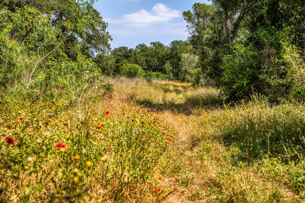 TBD (88.852 Acres) Smith Road, Bastrop, Texas image 17