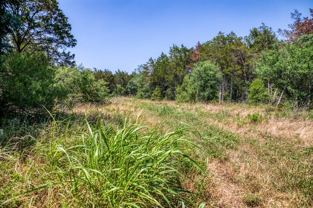 TBD (88.852 Acres) Smith Road, Bastrop, Texas image 12