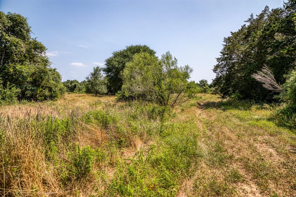 TBD (88.852 Acres) Smith Road, Bastrop, Texas image 14