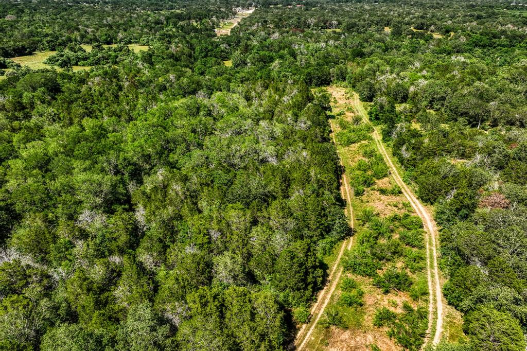 TBD (88.852 Acres) Smith Road, Bastrop, Texas image 37