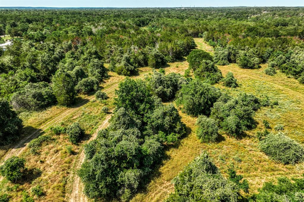 TBD (88.852 Acres) Smith Road, Bastrop, Texas image 26