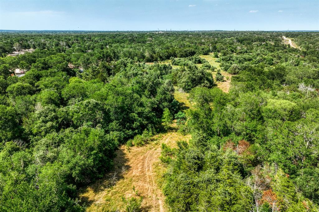 TBD (88.852 Acres) Smith Road, Bastrop, Texas image 46