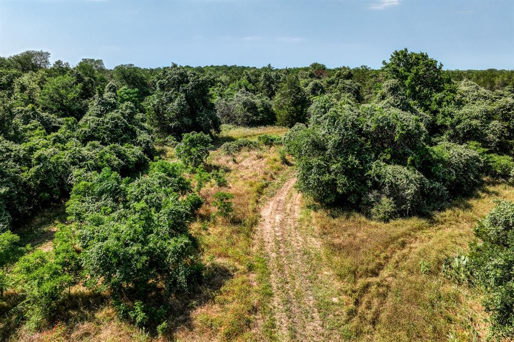 TBD (88.852 Acres) Smith Road, Bastrop, Texas image 25