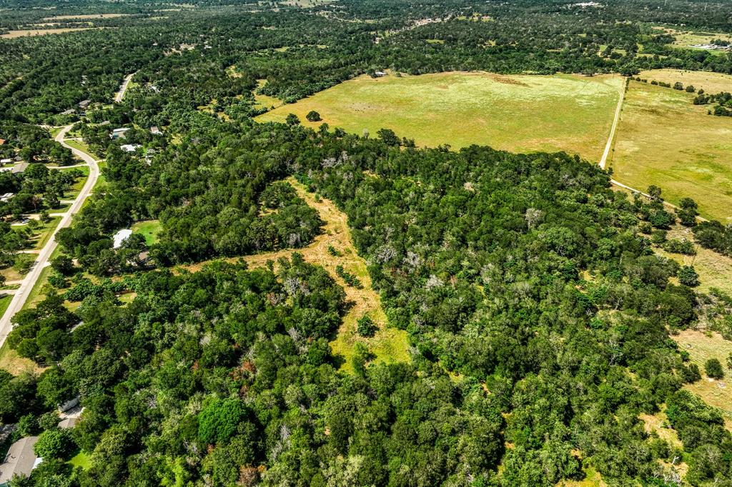 TBD (88.852 Acres) Smith Road, Bastrop, Texas image 32