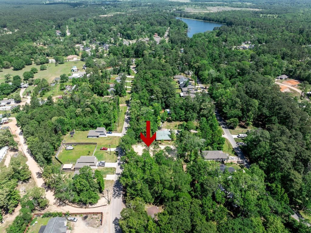 15132 Coaltown Road, Willis, Texas image 6