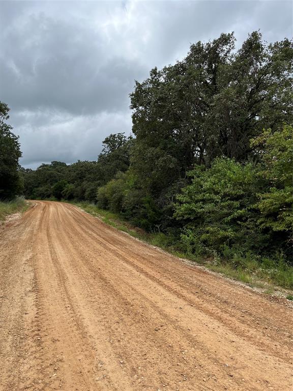 TBD Hickory Ridge Drive, Hilltop Lakes, Texas image 1