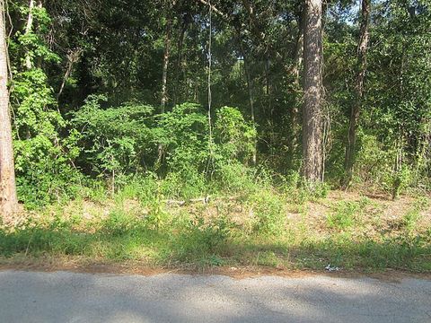 Photo of 31127 Primrose Lane, Magnolia, TX 77354 (MLS # 23473053)