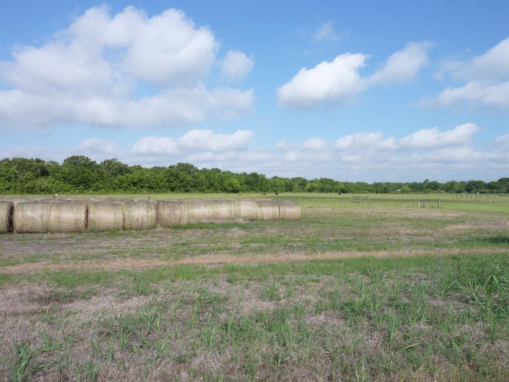 9300 County Road 420, Navasota, Texas image 7