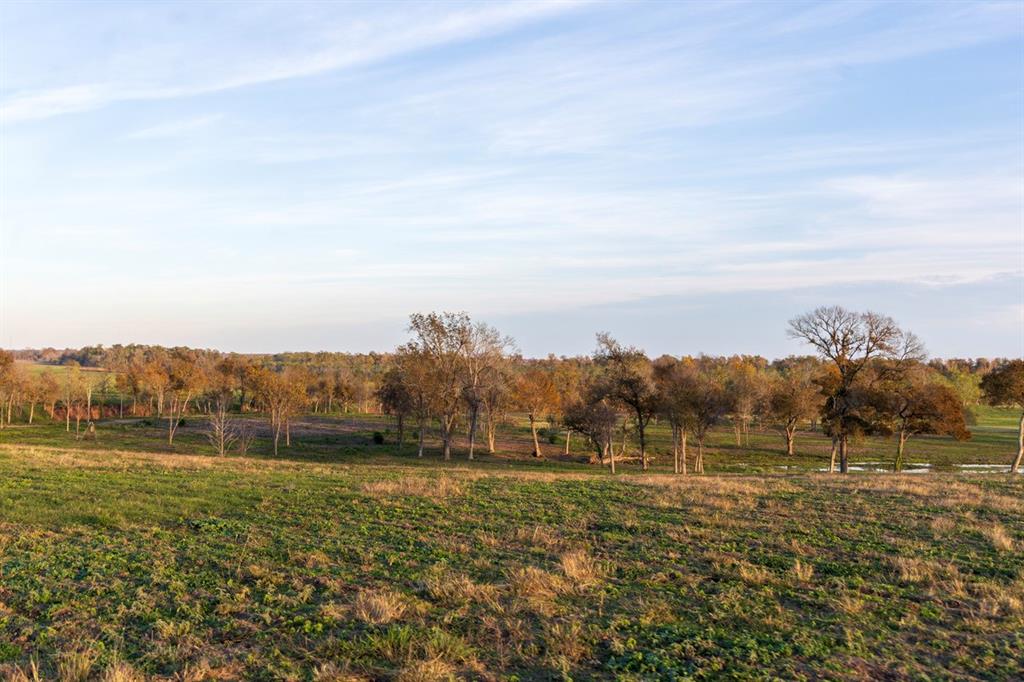 5925 Old Three Hundred Drive, Washington, Texas image 4