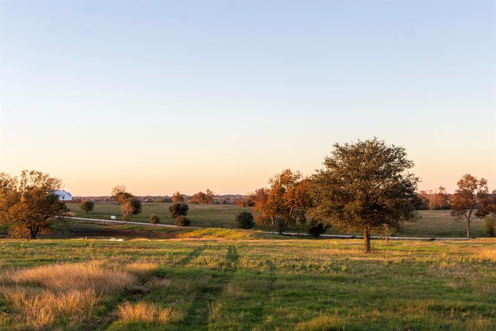 5925 Old Three Hundred Drive, Washington, Texas image 19