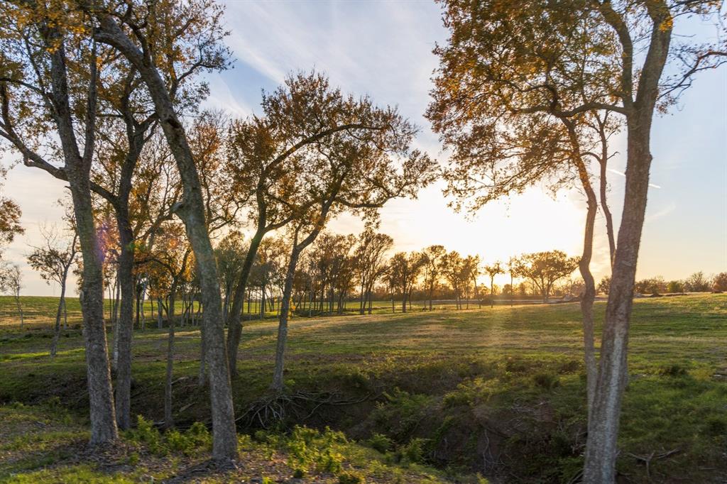 5925 Old Three Hundred Drive, Washington, Texas image 9