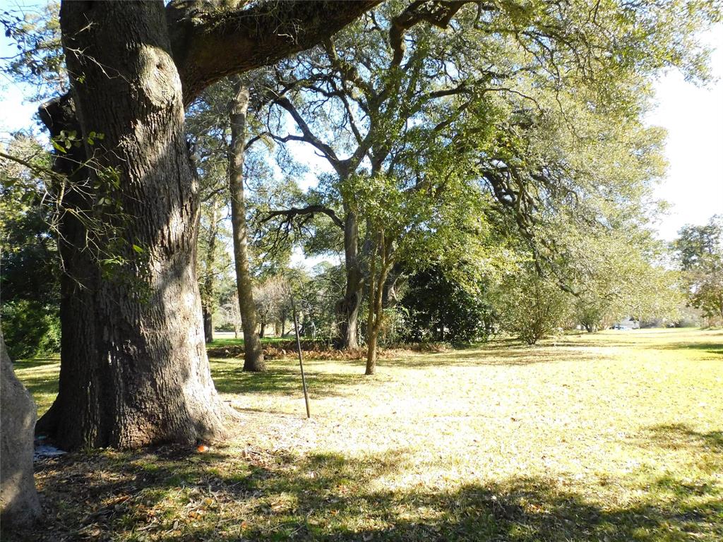 2408 Gun And Rod Road, Brenham, Texas image 3