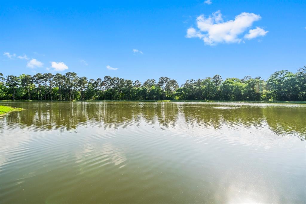 19348 E Lakeshore Drive, Magnolia, Texas image 34